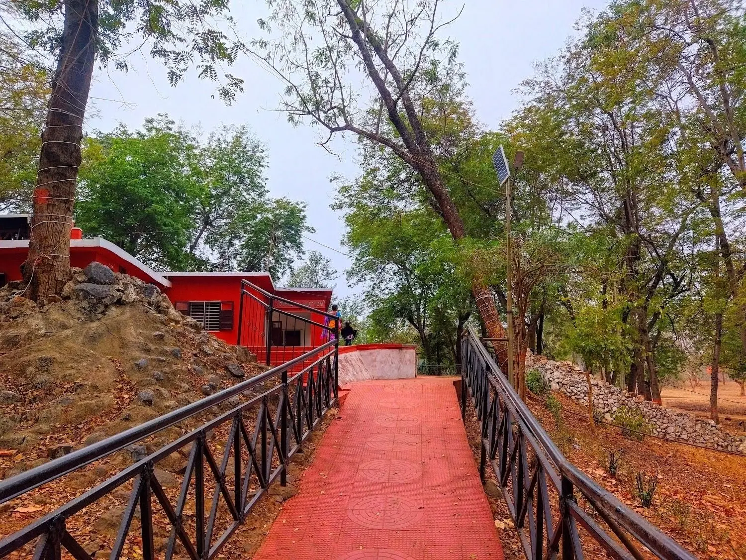 Historic Palamu Forts